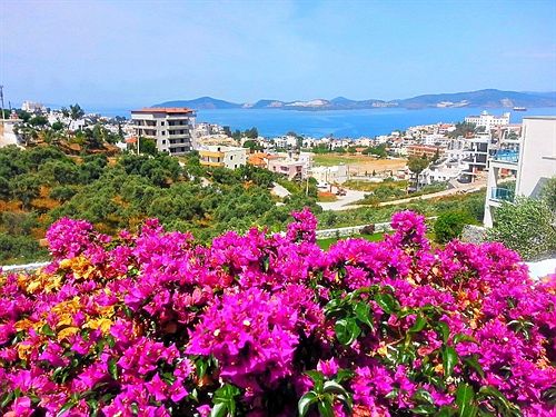 فندق Flipflops Apartments