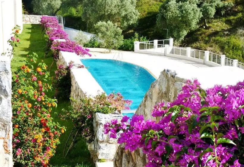 Hotel Flipflops Apartments