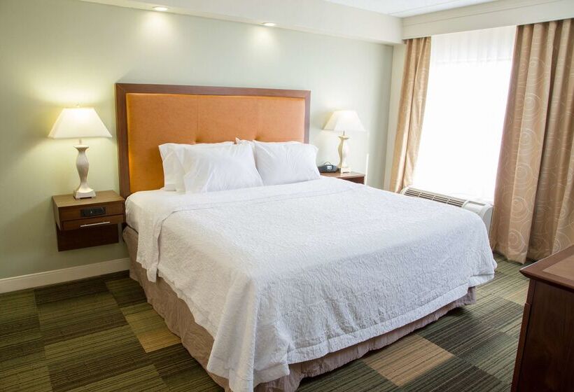 Hotel Hampton Inn & Suites Albany Downtown