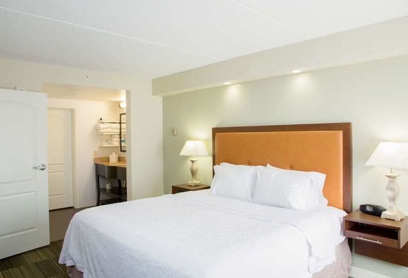 Hotel Hampton Inn & Suites Albany Downtown