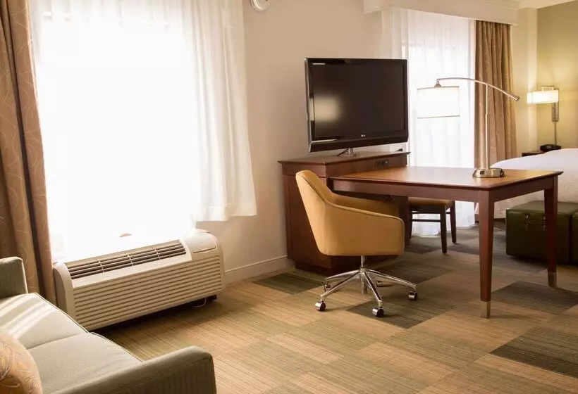 Hotel Hampton Inn & Suites Albany Downtown