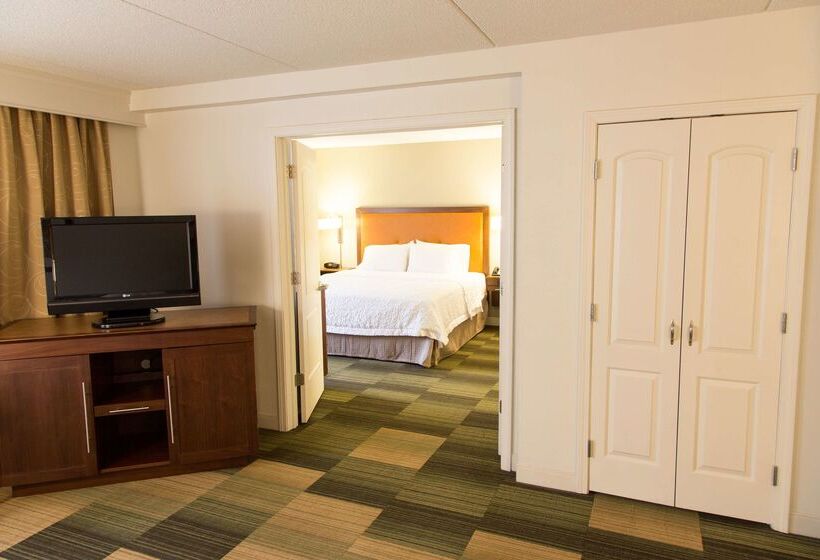 Hotel Hampton Inn & Suites Albany Downtown