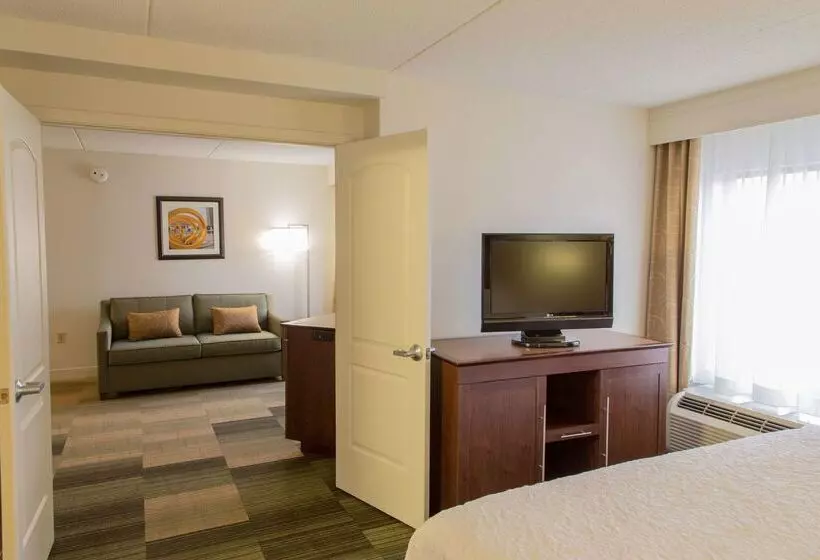 Hotel Hampton Inn & Suites Albany Downtown