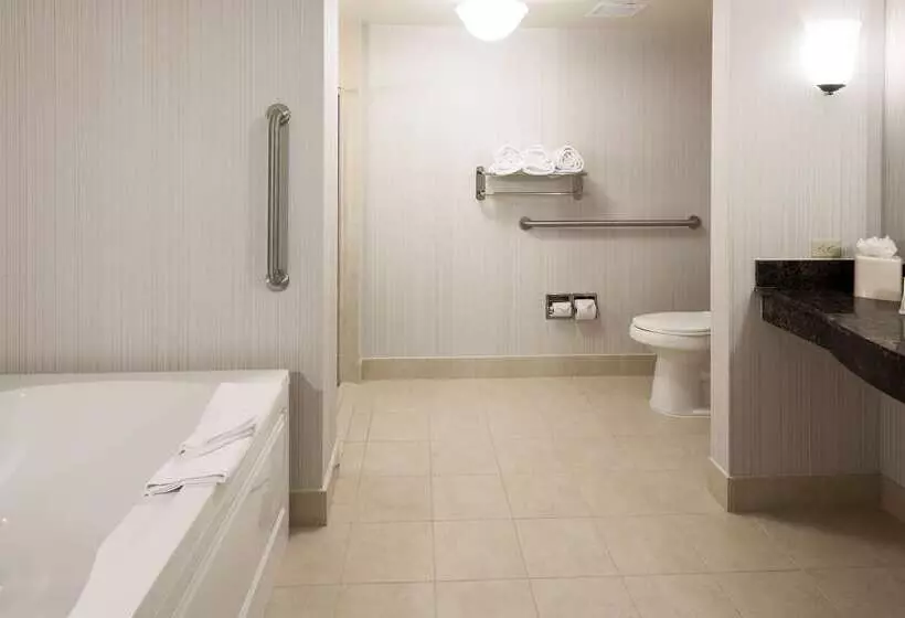 Отель Hilton Garden Inn Denver/highlands Ranch