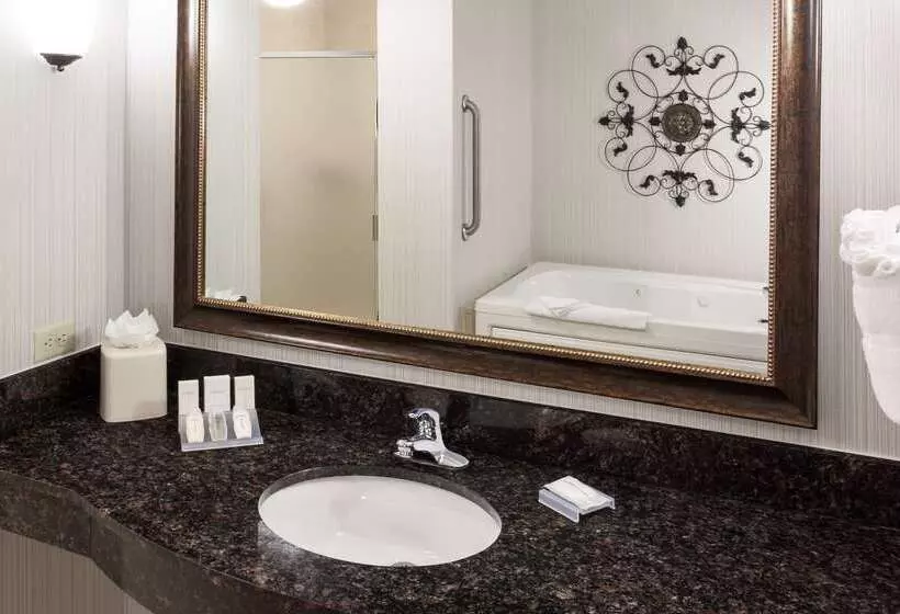 Отель Hilton Garden Inn Denver/highlands Ranch