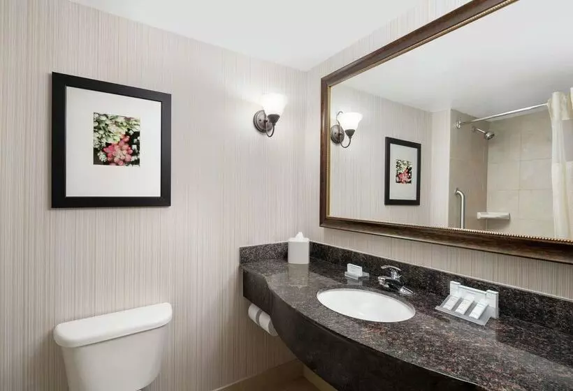 Отель Hilton Garden Inn Denver/highlands Ranch