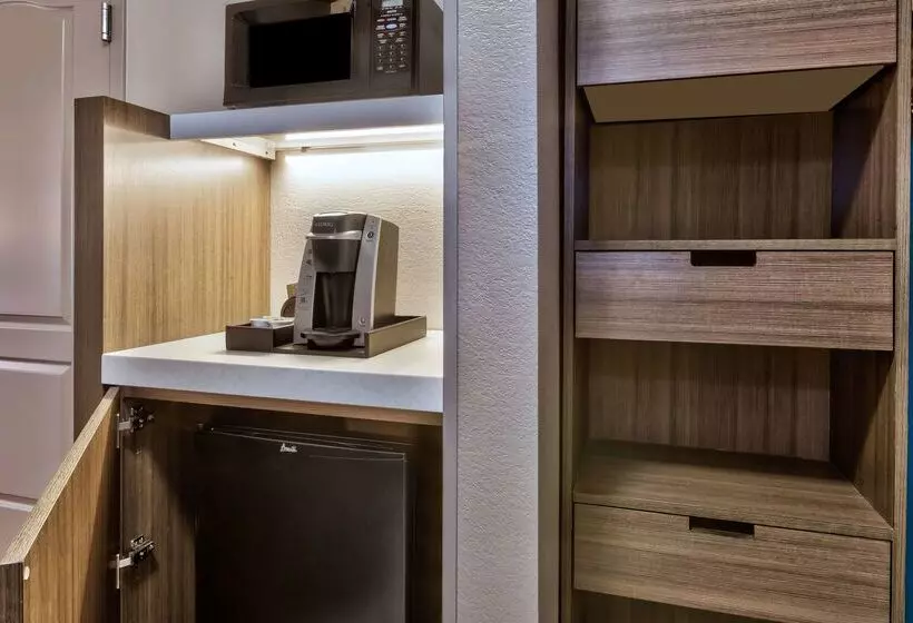 ホテル Hilton Garden Inn Minneapolis Maple Grove