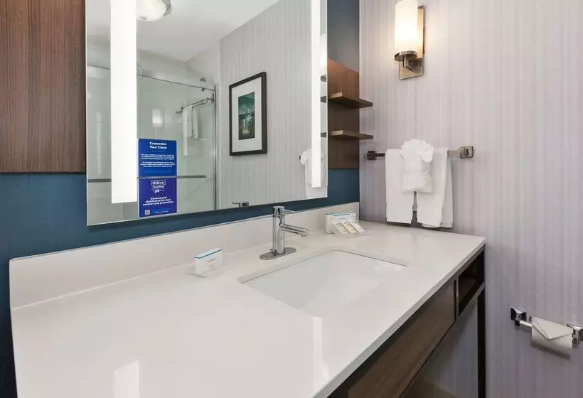 ホテル Hilton Garden Inn Minneapolis Maple Grove