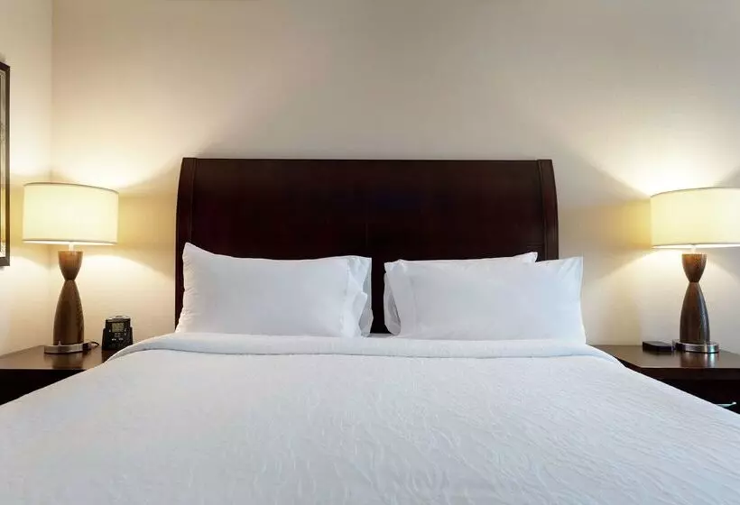 Szálloda Hilton Garden Inn Mobile West I 65/airport Blvd