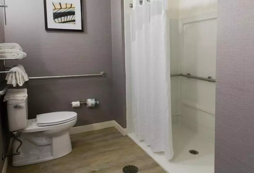 Holiday Inn Hotel & Suites Bloomington Airport, An Ihg