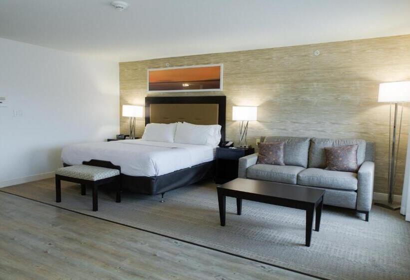 Holiday Inn Hotel & Suites Bloomington Airport, An Ihg