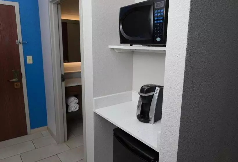 Holiday Inn Express Hotel & Suites Athens By Ihg