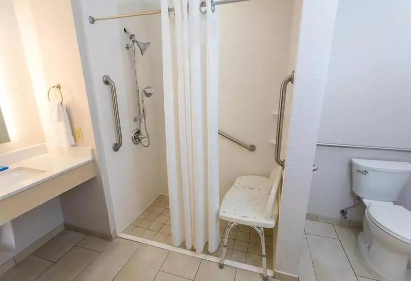 Holiday Inn Express Hotel & Suites Athens By Ihg