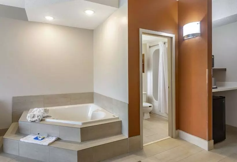 هتل Holiday Inn Express Branson  Green Mountain Drive, An Ihg