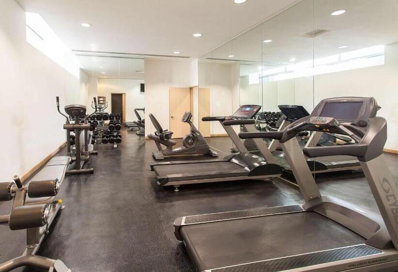 ホテル NH Mexico City Valle Dorado