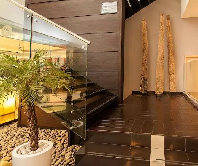 Отель NH Mexico City Valle Dorado