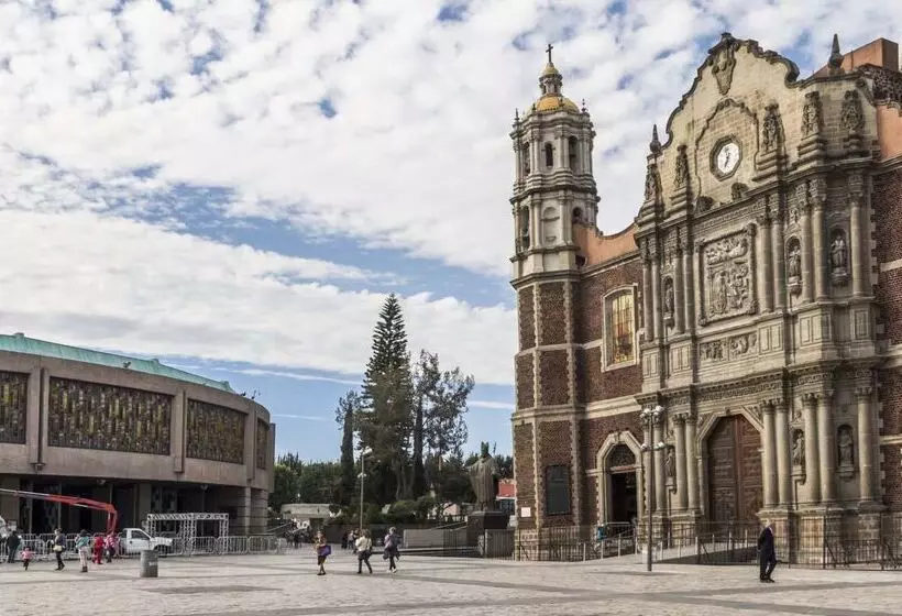 Отель NH Mexico City Valle Dorado