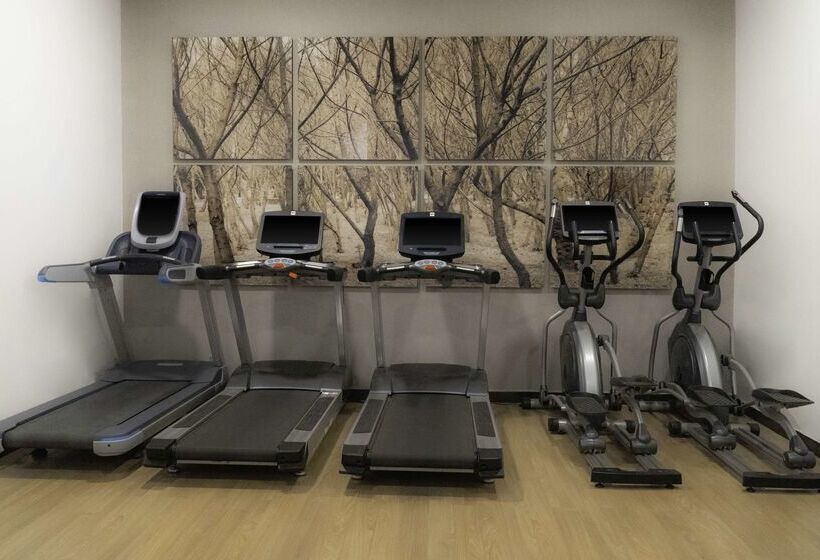 ホテル NH Mexico City Valle Dorado