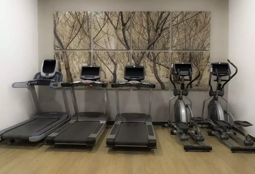 Отель NH Mexico City Valle Dorado