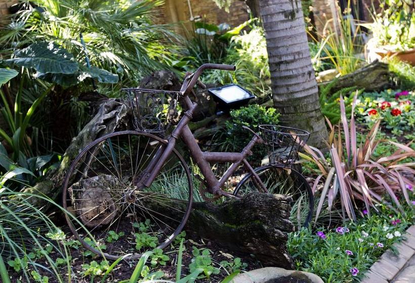 Отель Sunrock Guesthouse