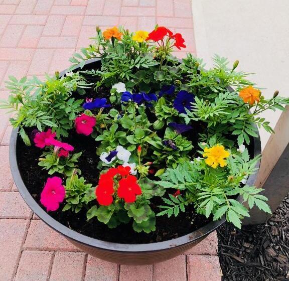 The Grenville Hotel And Restaurant