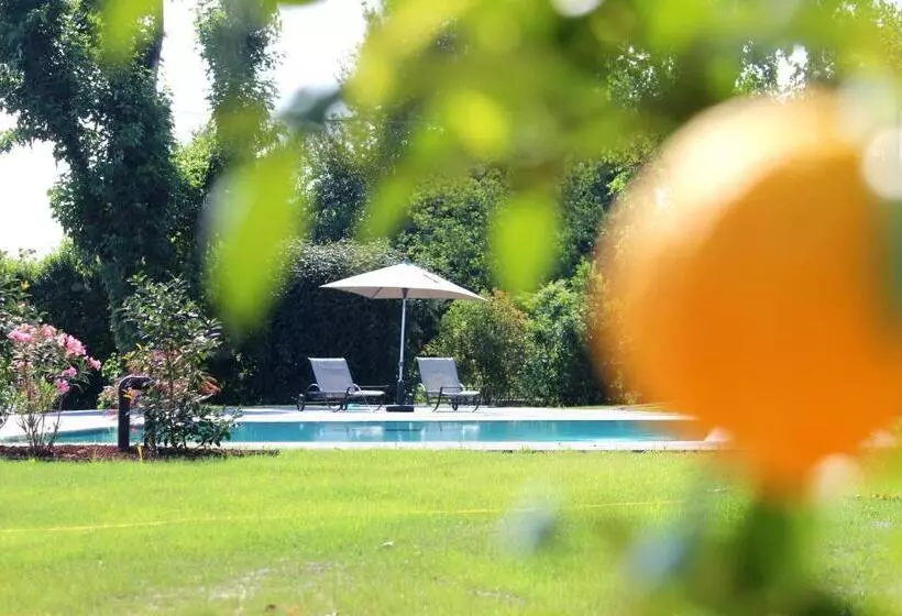 ベッドアンドブレックファースト Ca  Ciaran