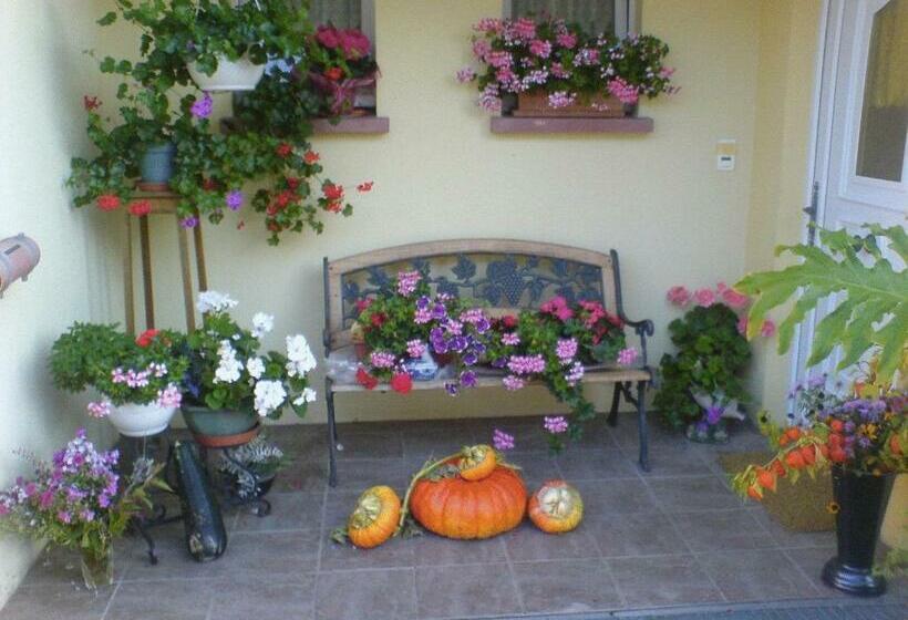 צימר Chez Joséphine