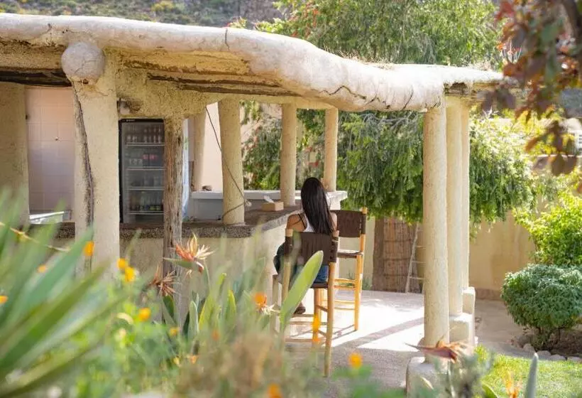 Aamiaismajoitus (B&B) Dar El Mandar   Ferme & Table D Hôte Berbère