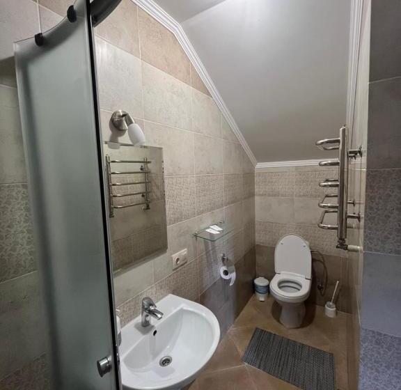 בית מלון כפרי поляна купіль