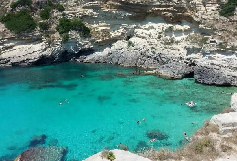 ホテル Azienda Agrituristica B&b La Torre