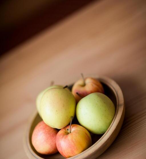 בית מלון כפרי Jager Hans