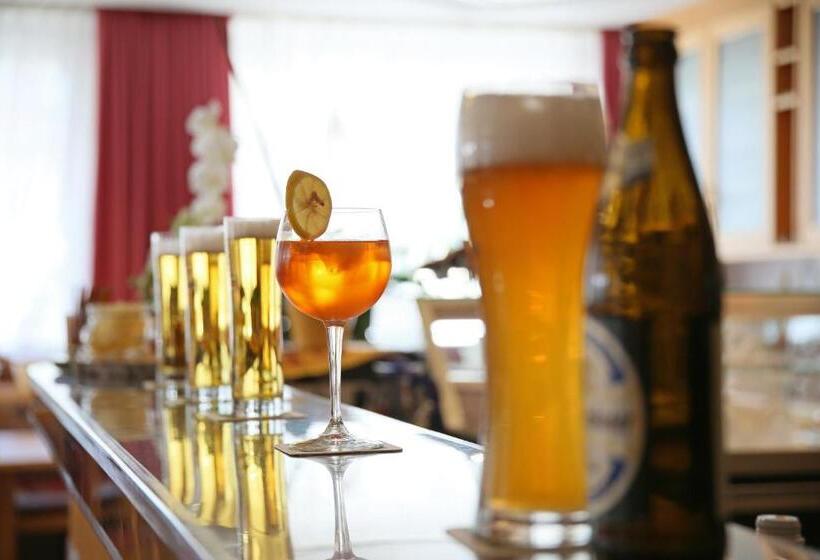 호텔 Pension Alpenhof B&b