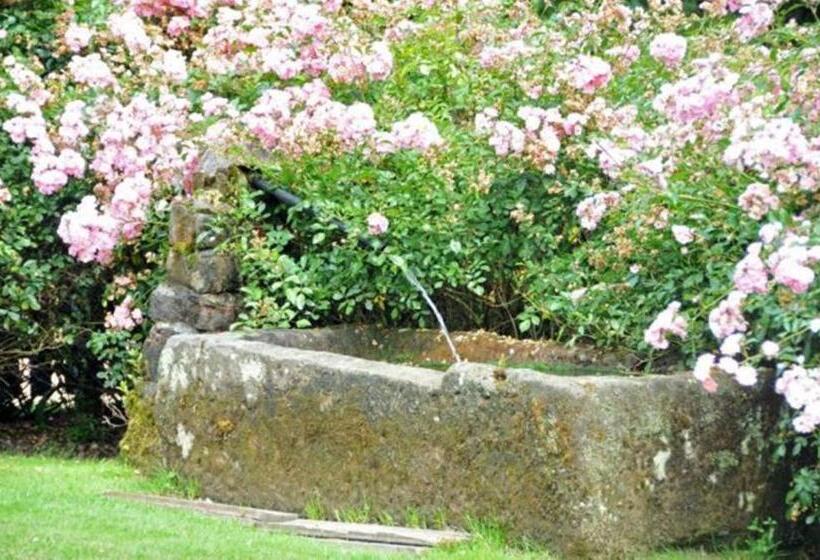 旅馆 Auberge De La Cholotte