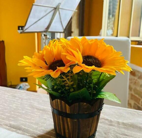 住宿加早餐 A Casa Di Anna