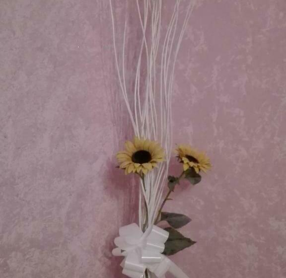 住宿加早餐 A Casa Di Anna