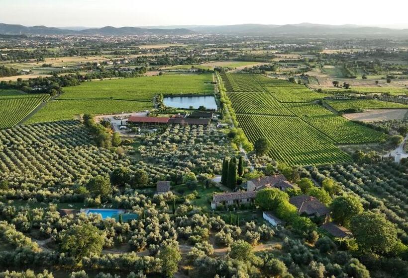 هتل Il Palazzo Agriturismo, Winery