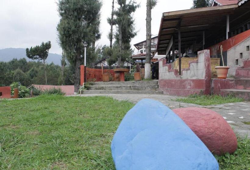 בית מלון כפרי Kasa Resort Best Holiday Resort In Ziro