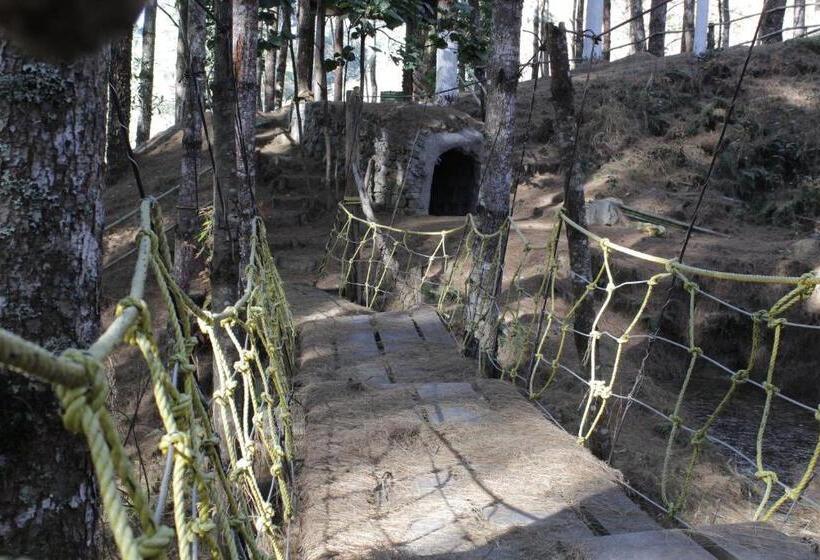 בית מלון כפרי Kasa Resort Best Holiday Resort In Ziro