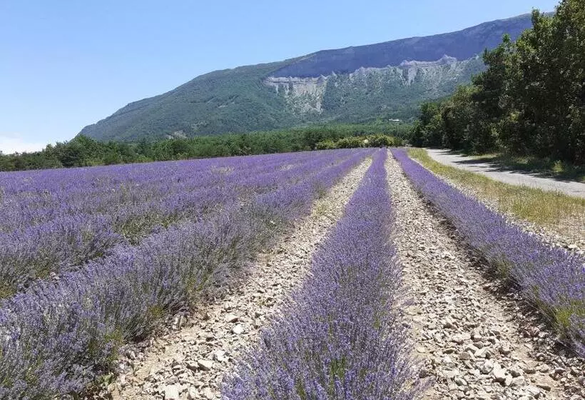 Hotelli Rose Des Alpes