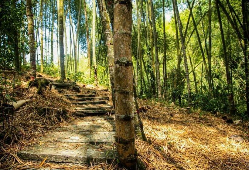 פנסיון Room In Guest Room  Nice Place In Quimbaya Quindio Close To Natural Parks