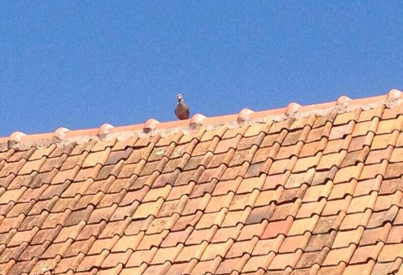 مبيت وإفطار Domaine De Collen