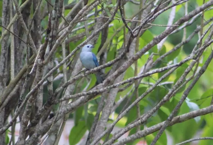 Calico Jack's Resort