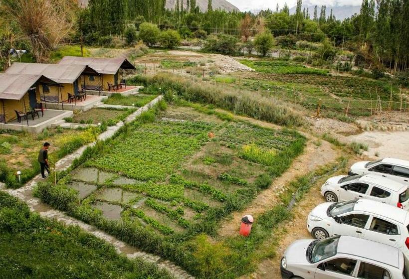 فندق Cozy Ethnic Camp