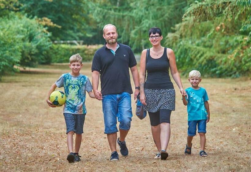 渡假胜地 Comfort Plus