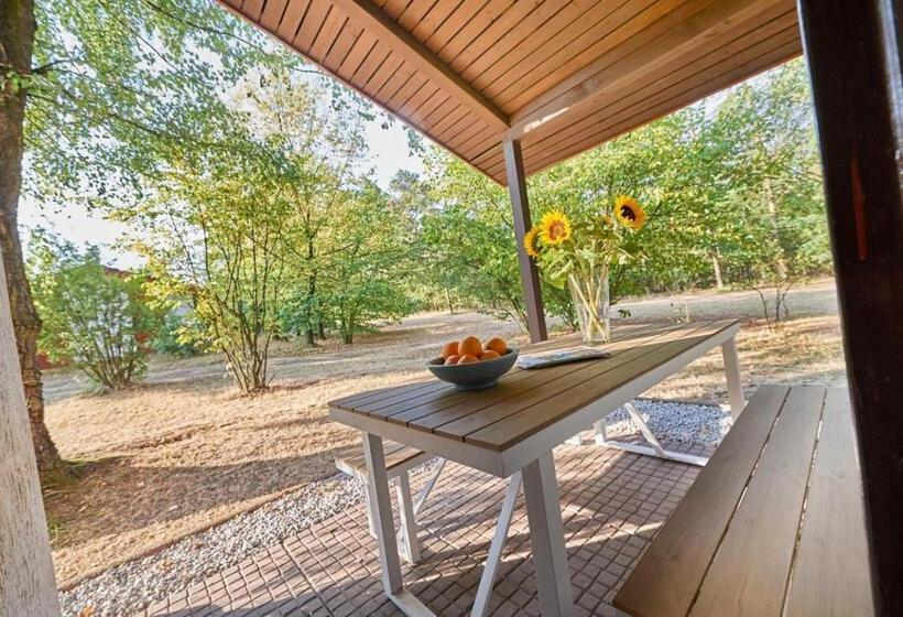 渡假胜地 Comfort Plus