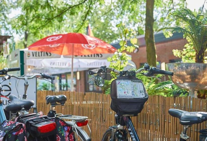 渡假胜地 Comfort Plus