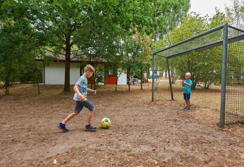 渡假胜地 Comfort Plus