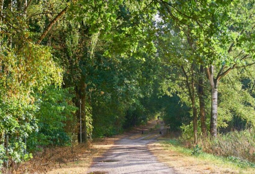 渡假胜地 Comfort Plus