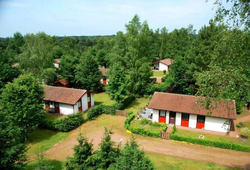 渡假胜地 Comfort Plus