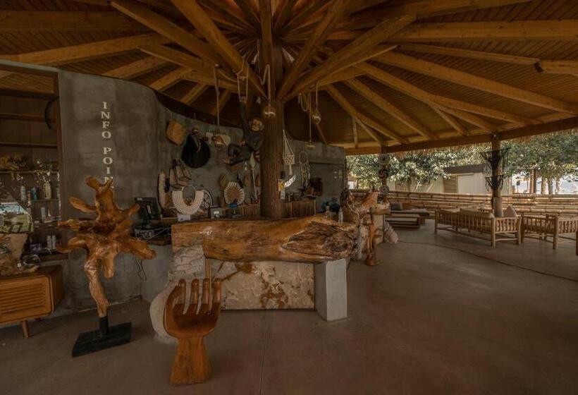 Riva Del Sol Beach Resort